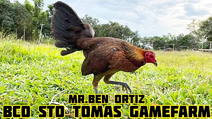 Ben Ortiz Photo 35