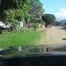 Cruz Trejo Photo 23