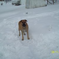 Charles Hogan Photo 7