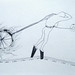 Donald Carino Photo 22