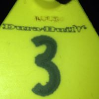 Lori Gruber Photo 2