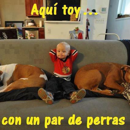 Alfredo Amaro Photo 10
