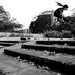 Joey Herrera Photo 41