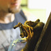 Jason Bloomfield Photo 40