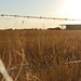 Dawn Deming Photo 22