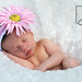 Shana Reinhardt Photo 10