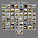 Robin Goodrich Photo 32