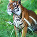 Mark Grass Photo 27