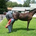 Brad Johnson Photo 19