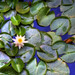 Debra Woolard Photo 16