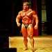Jason Cutler Photo 41