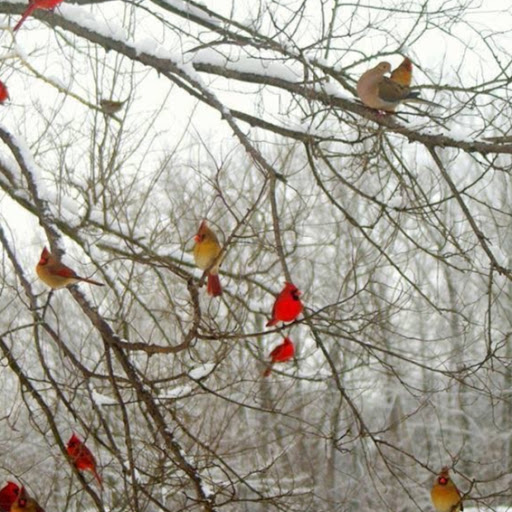 Jessica Conley Photo 14
