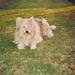 Bonnie Kendall Photo 30