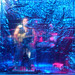 Richard Benson Photo 43