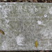 Maurice Stevenson Photo 30