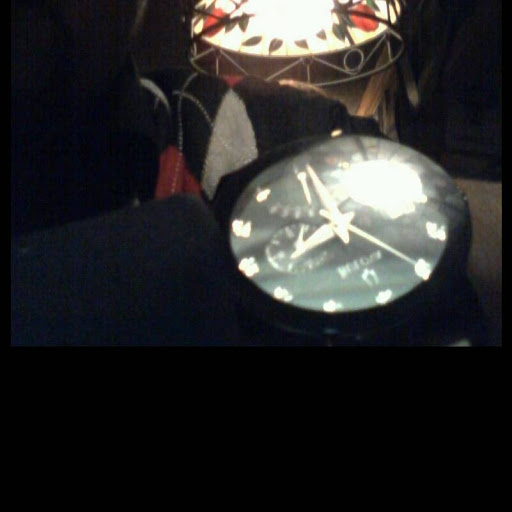 Marquis Rose Photo 6
