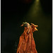 Sandra Gard Photo 22