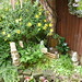 Steven Ridout Photo 17