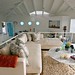 Carol Mendelsohn Photo 21