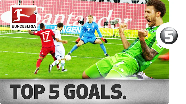 Fabian Johnson Photo 23