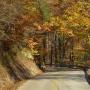 Pam Stover Photo 21