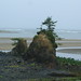 Theodore Talbot Photo 16
