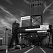 T Jr Photo 25