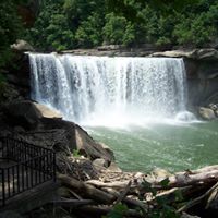 Debra Stowers Photo 1