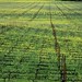 Debra Valley Photo 23