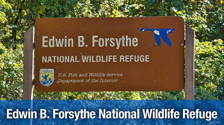 Edwin Forsythe Photo 5