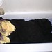 Debra Dye Photo 32