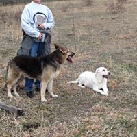 Brenda Estes Photo 1