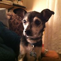 Ann Mccracken Photo 9