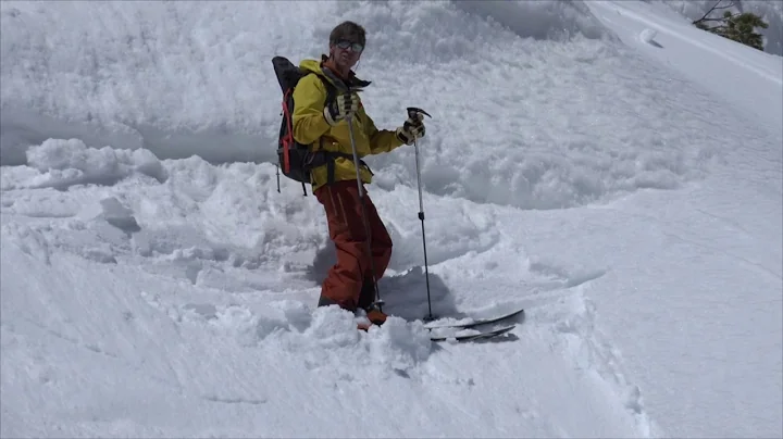 Andrew Mclean Photo 36