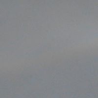 George Nicolae Photo 7