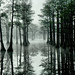 Emanuel Smith Photo 40
