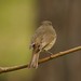 Robin Hicks Photo 45