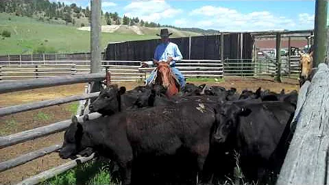 David Fryer Photo 34
