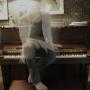 Timothy Earle Photo 13
