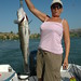 Lynn Zander Photo 20