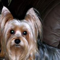 Darlene Becker Photo 7
