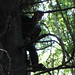 Eric Nettles Photo 32
