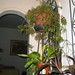 Elias Nader Photo 21