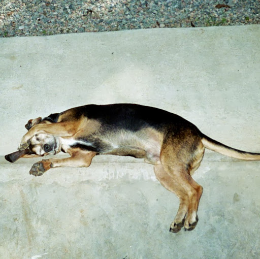Frankie Foster Photo 10
