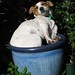 Polly Ruth Photo 17