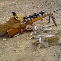 Jason Kissinger Photo 3