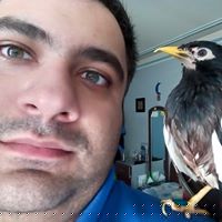 Arash Alizadeh Photo 19