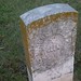 Thomas Welch Photo 48