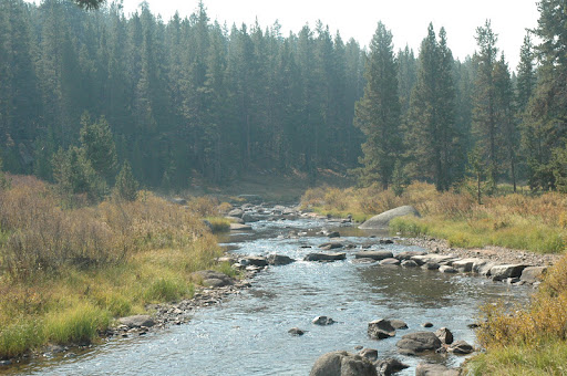 Sharon Olson Photo 11