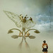 Brian Burns Photo 51